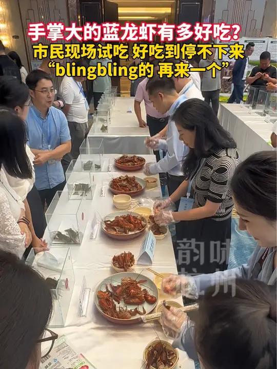 手掌大的蓝龙虾现场试吃,好吃到停不下来。(来源:市农业农村局(市乡村振兴局))城乡共富在杭