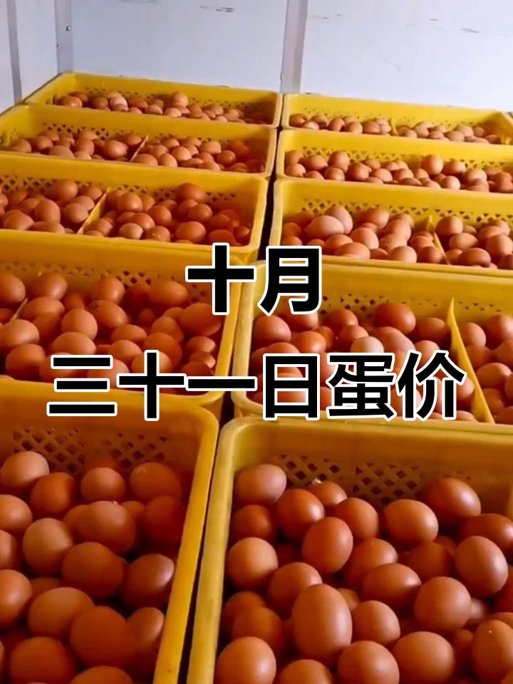 2022年10月31日全国鸡蛋价格大揭秘，市场动态一览