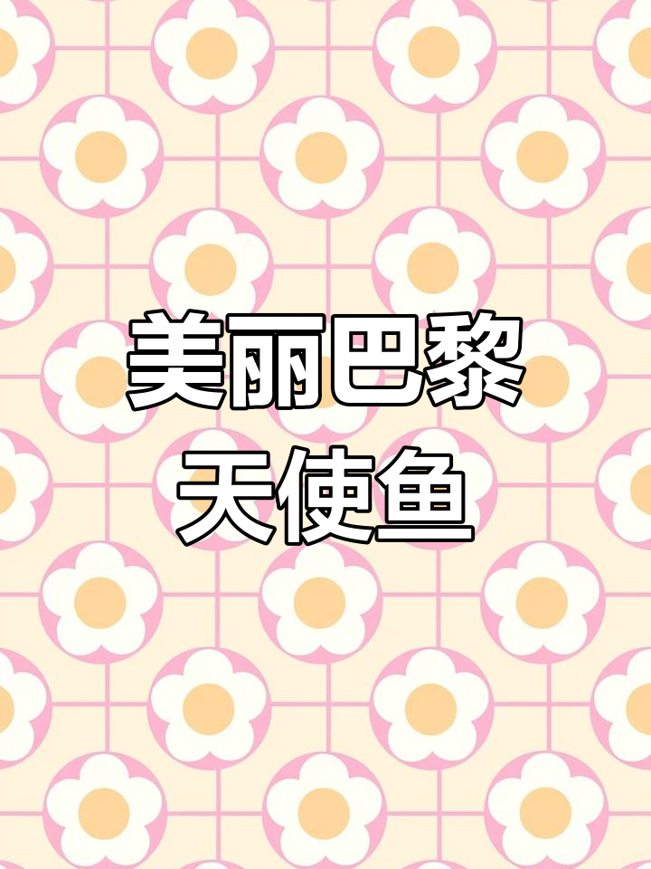 巴黎天使鱼:优雅的海底生物