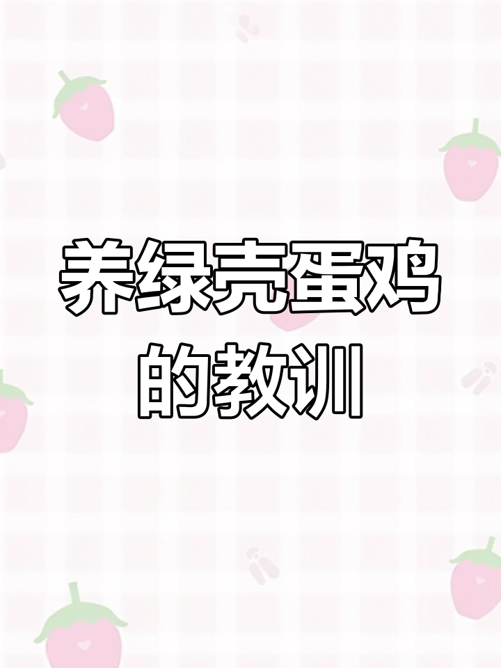 绿壳蛋鸡养殖经验分享:避免踩坑,少交学费