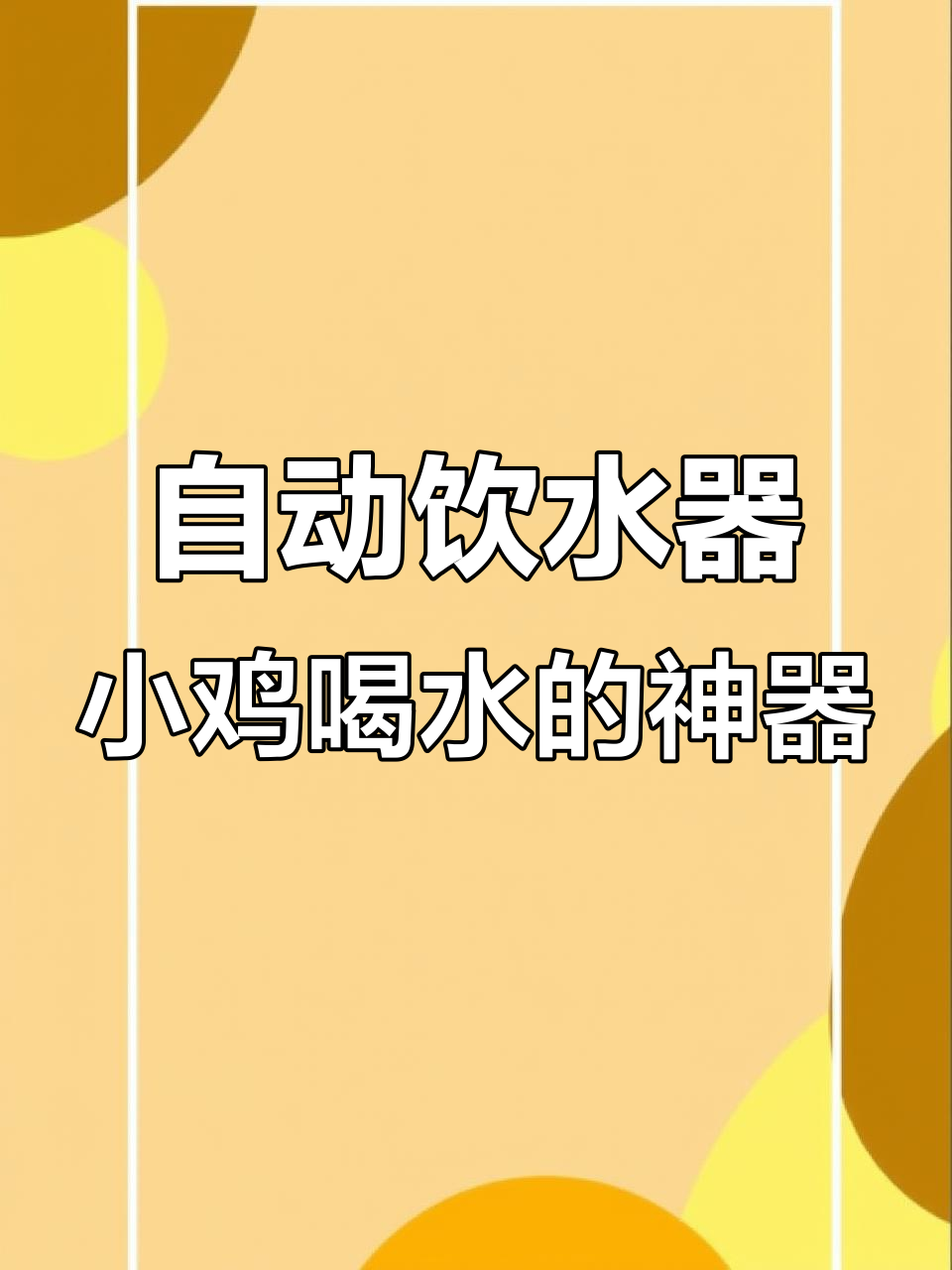 小鸡喝水不再麻烦,自动饮水器让养鸡更轻松