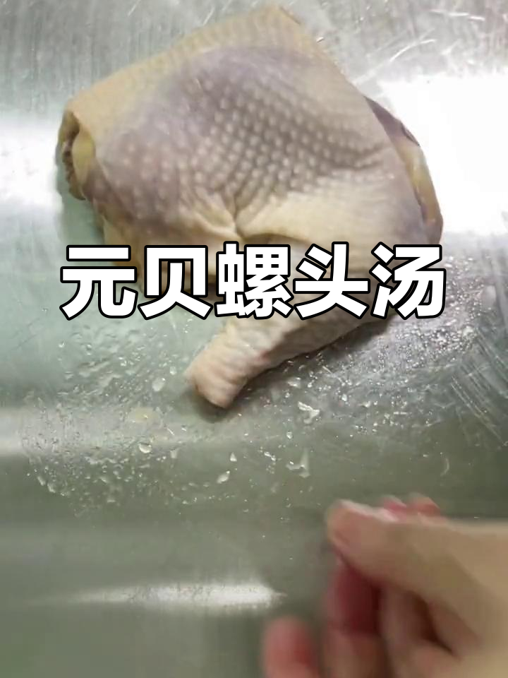 鲜美螺头汤,海味滋补