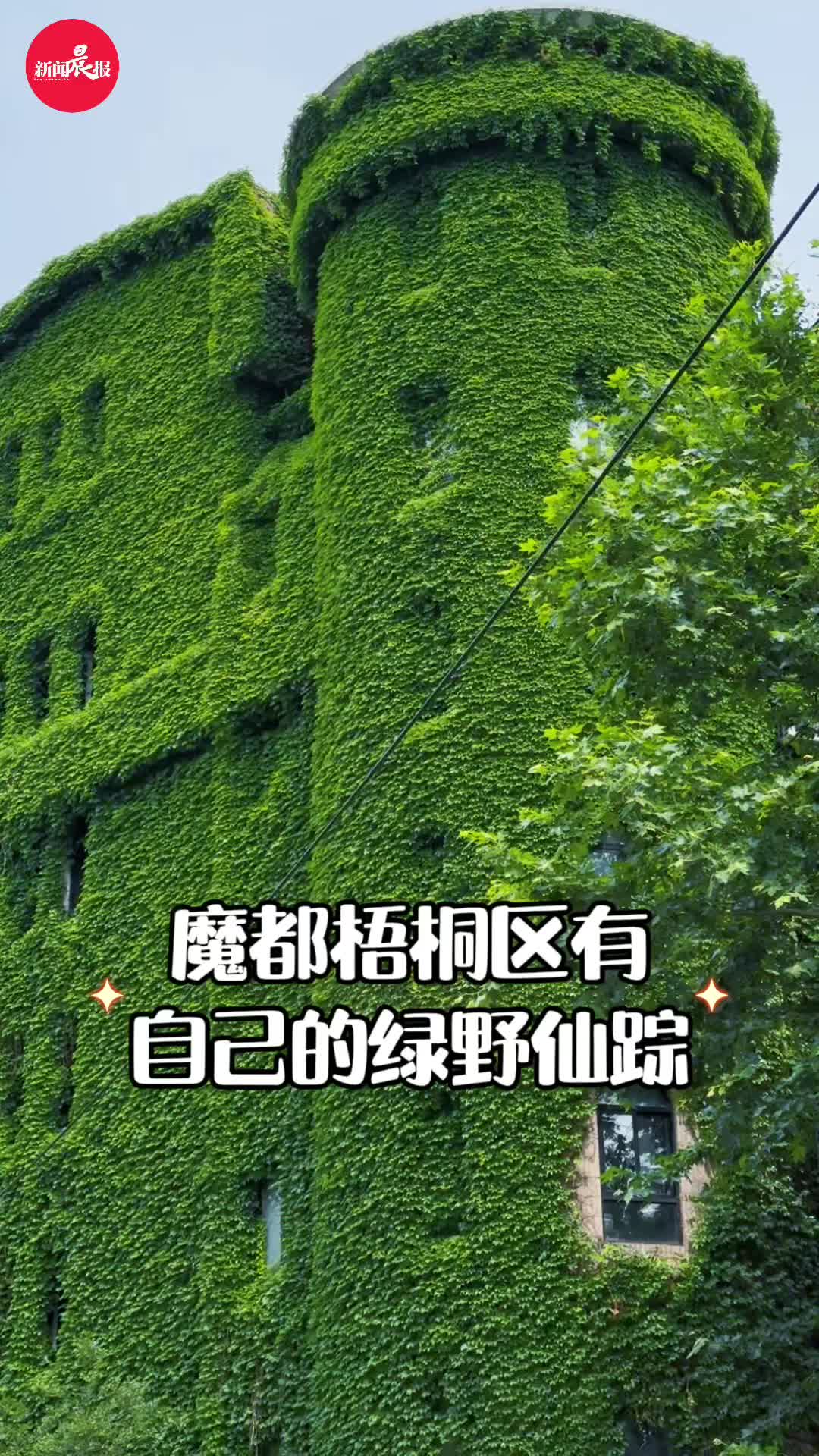 上海网红转角惊现抹茶蛋糕楼