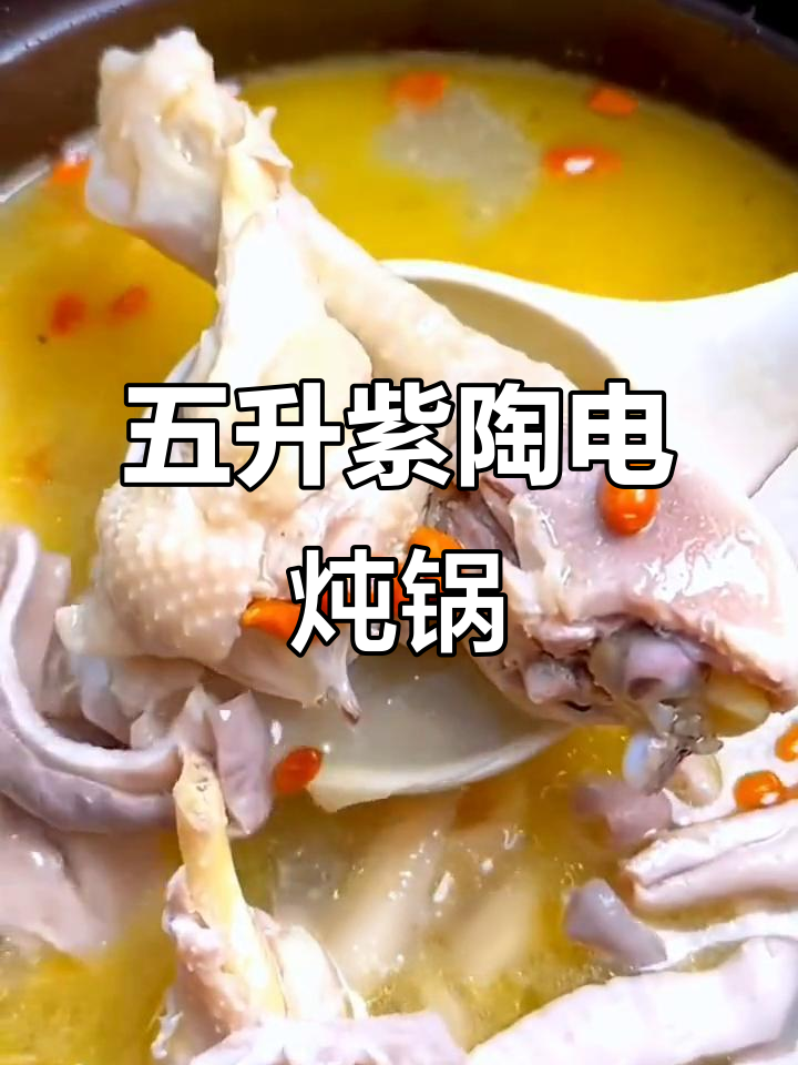 苏泊尔紫陶电炖锅，五升大容量多功能烹饪神器