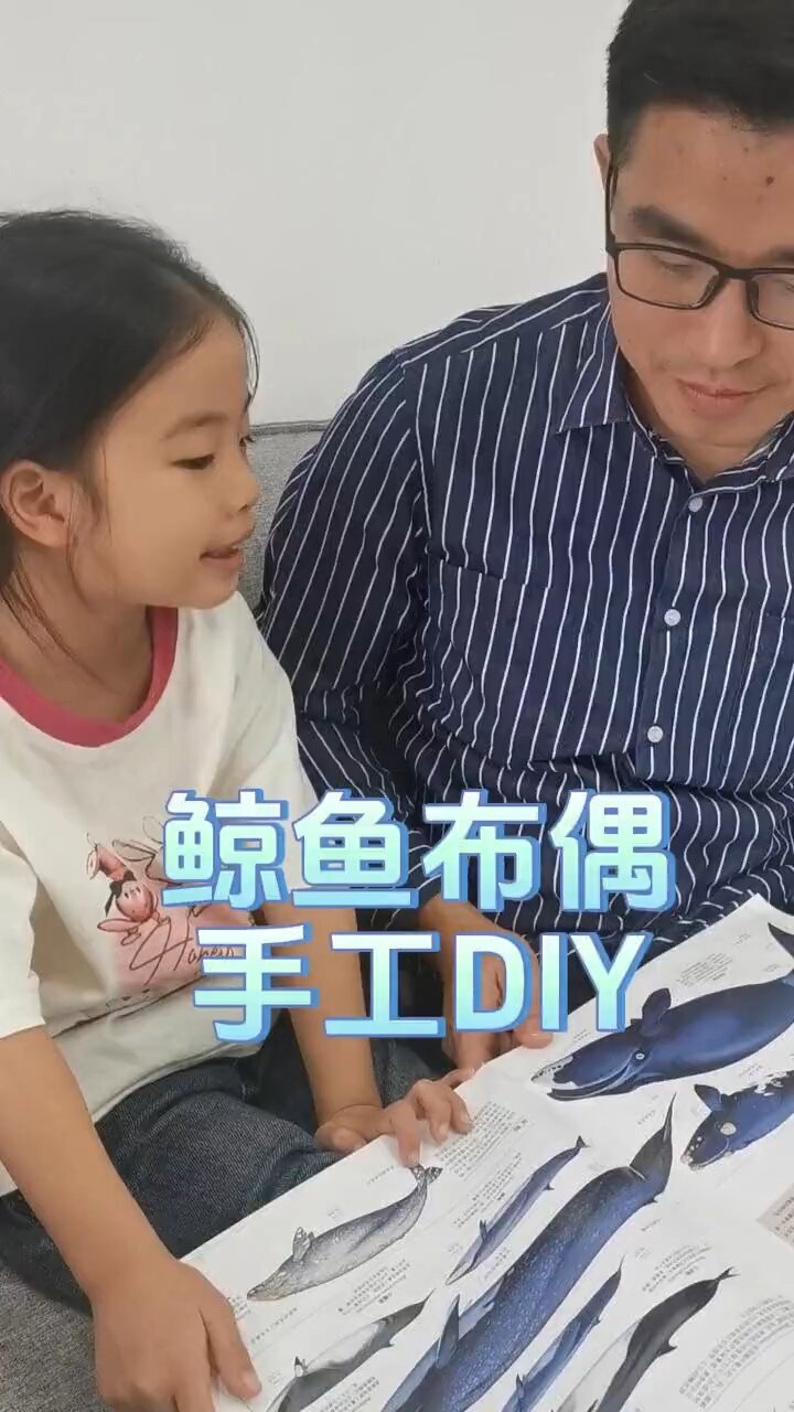鲸鱼布偶手工DIY