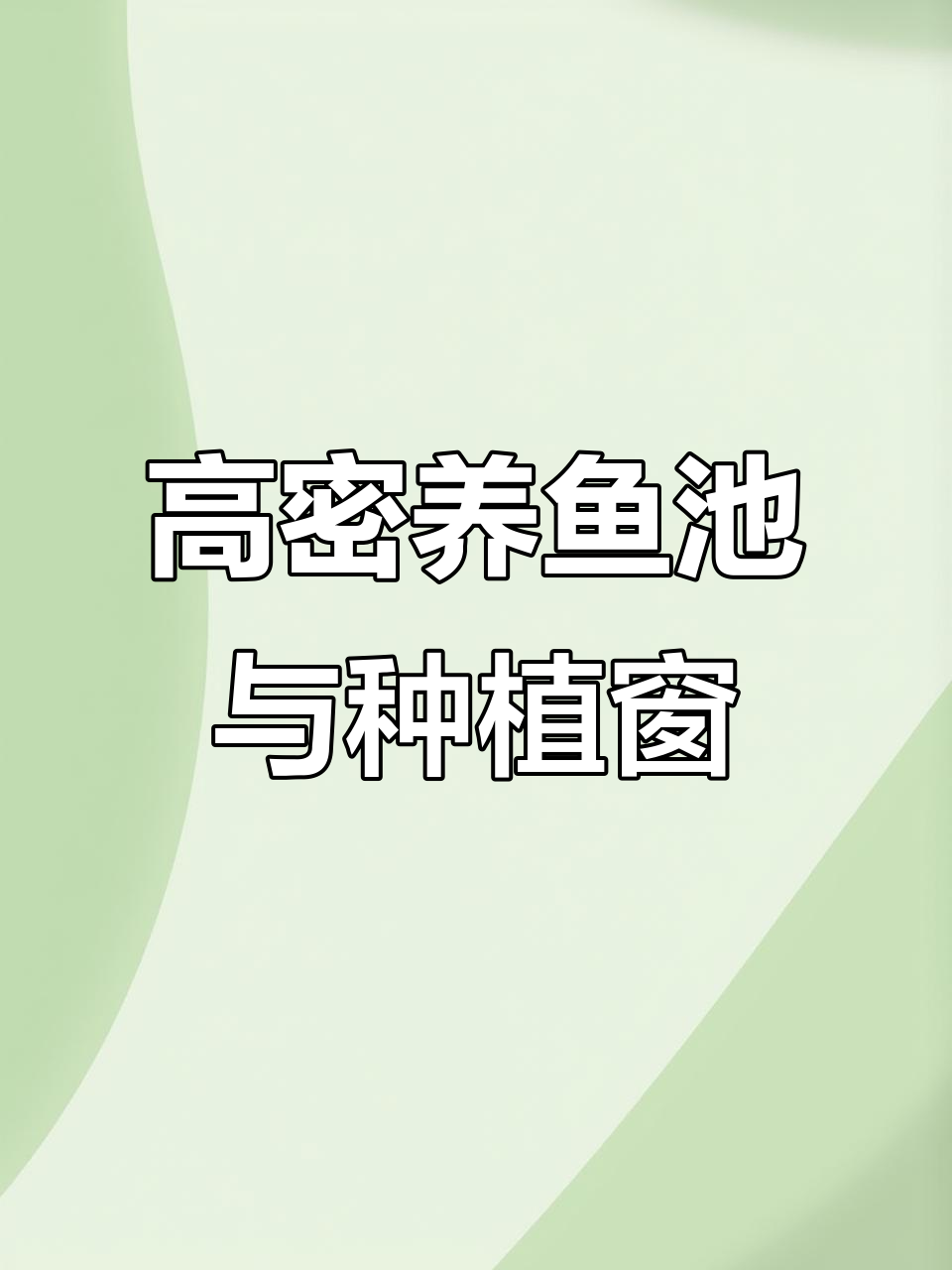 鱼菜共生农场高密度养殖,一米宽五十高的种植床设计