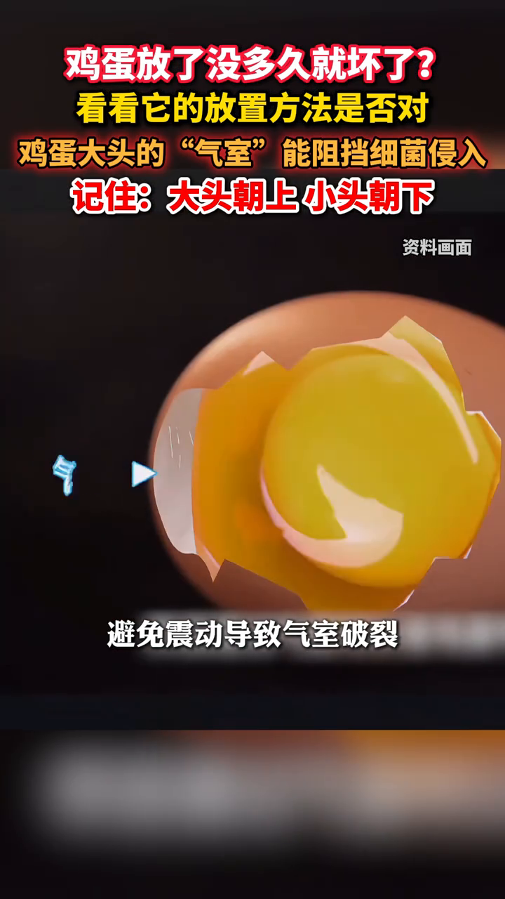 你家鸡蛋放对了吗？到底应该大头朝上还是小头朝上