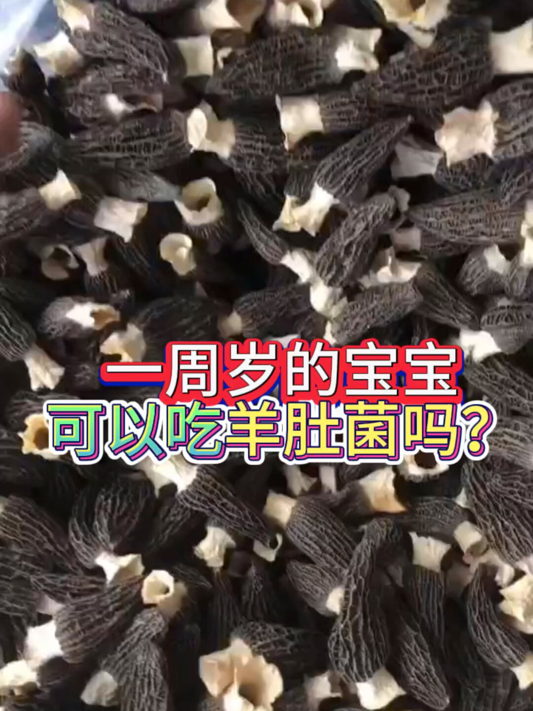 一周岁的宝宝可以吃羊肚菌吗!
