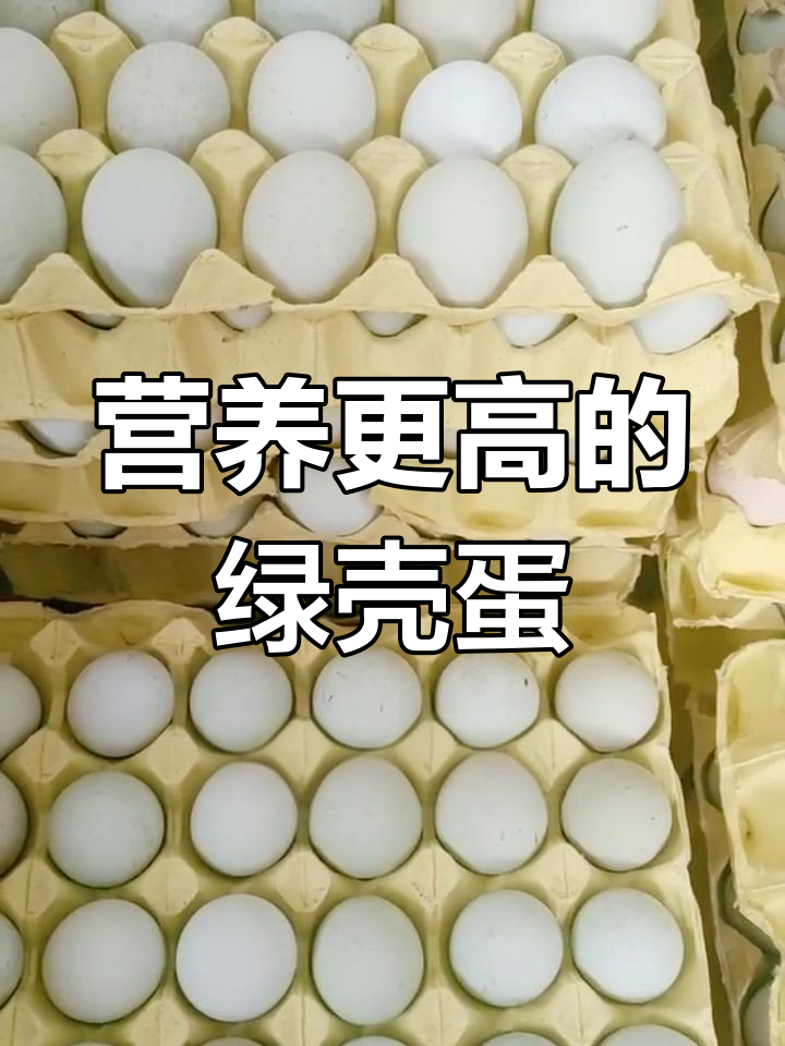 绿壳鸡蛋与普通鸡蛋的区别