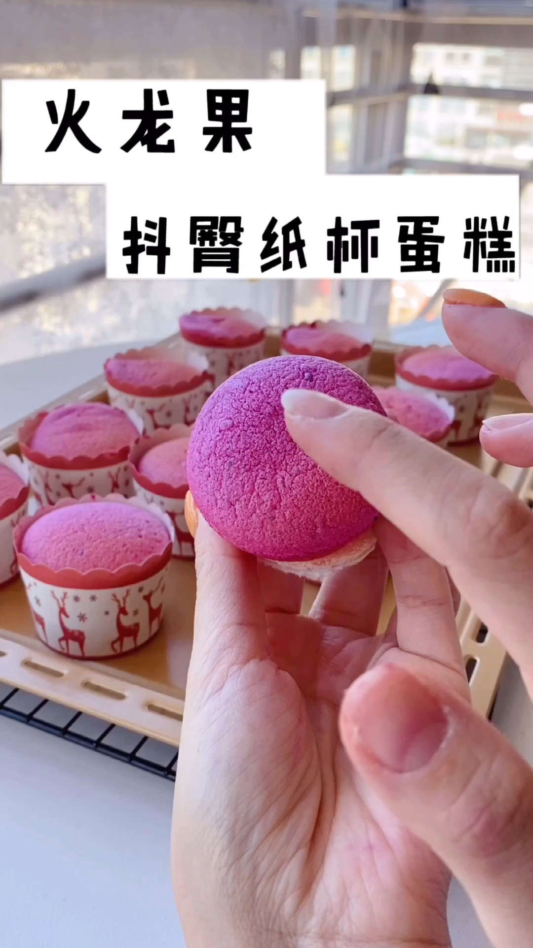 火龙果抖臀纸杯蛋糕牛年红红火火