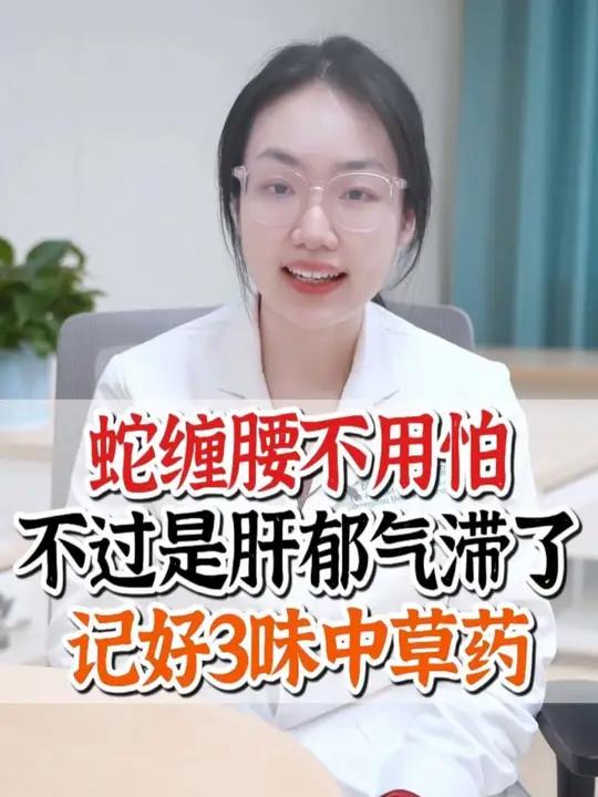 蛇缠腰不用怕,不过是肝郁气滞了,记好3味中草药