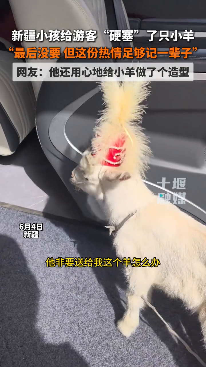 新疆小孩送给游客一只小羊，网友：“小羊肉串”还带个帽子