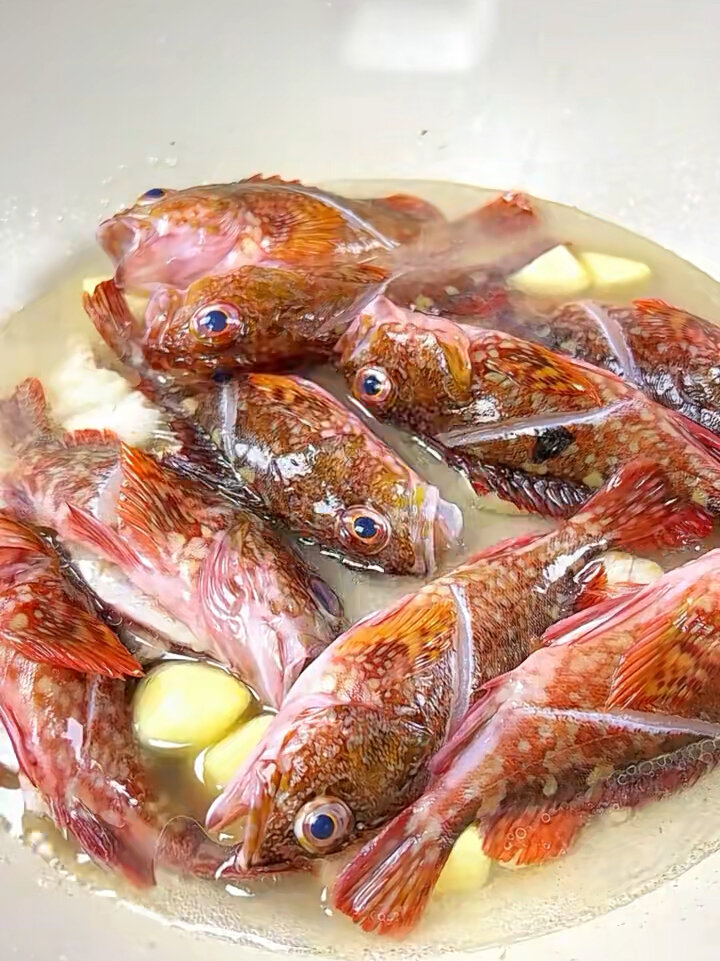 石翁鱼买回家这样做!