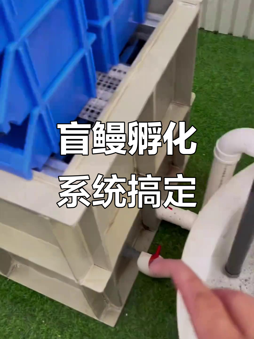 盲鳗繁殖系统搭建完成,海水缸全解析