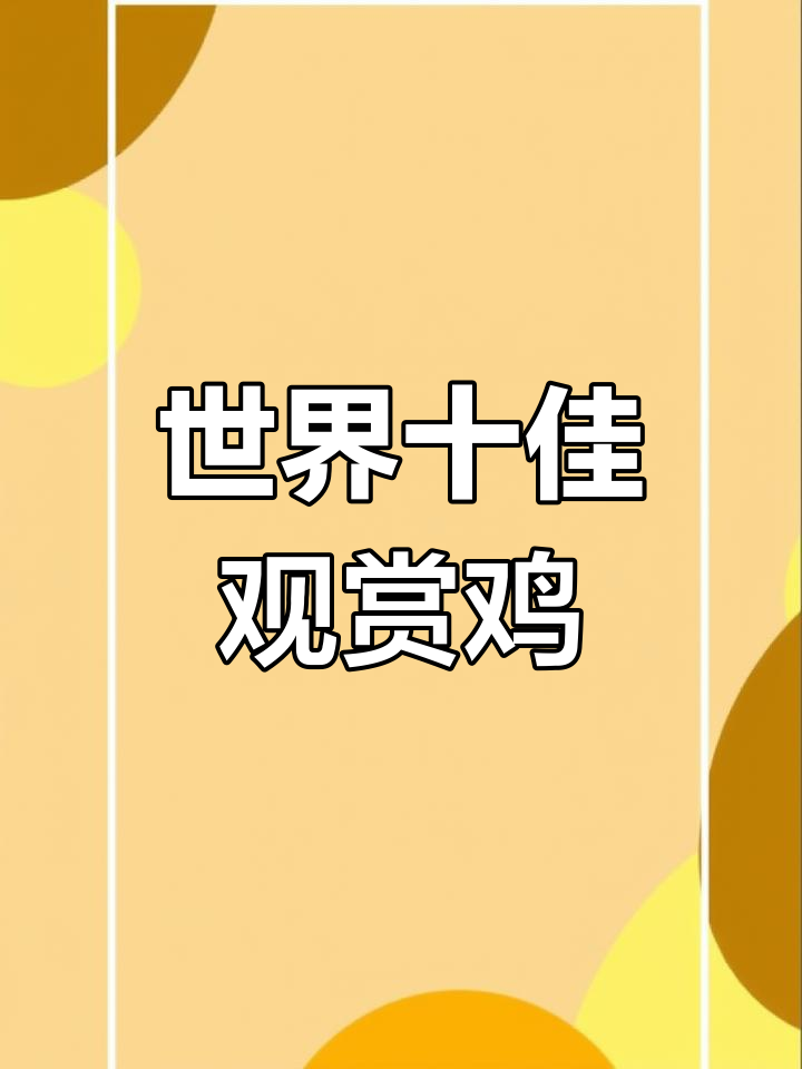 全球十大最美观赏鸡,哪个最适合做宠物?