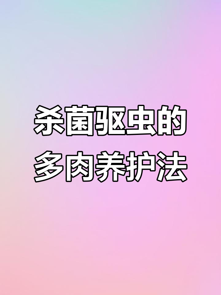 多肉植物必备:黄蓝粉杀虫防病,让你的多肉更健康