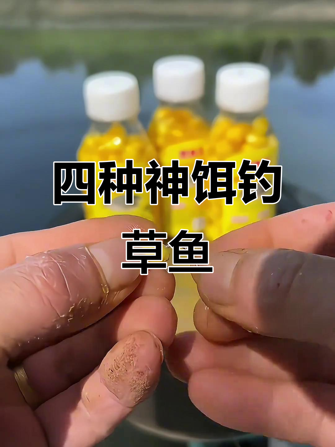钓草鱼的四种神奇饵料，轻松捕捉大鱼