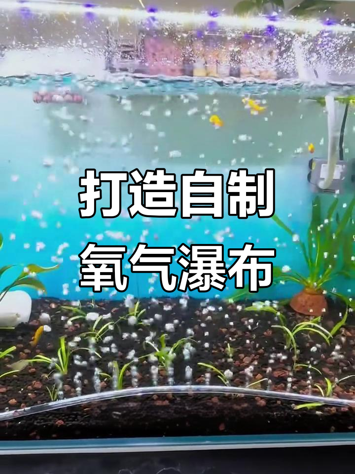 自制超美氧气瀑布,鱼缸也能变自然景观