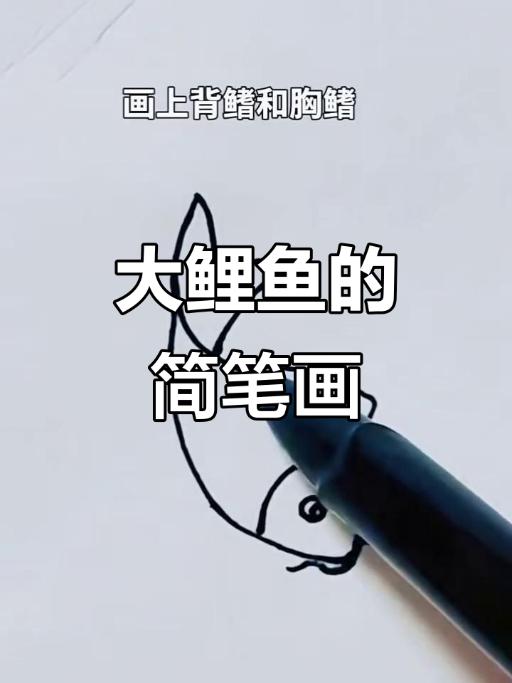 轻松学画大鲤鱼，简单步骤教你搞定