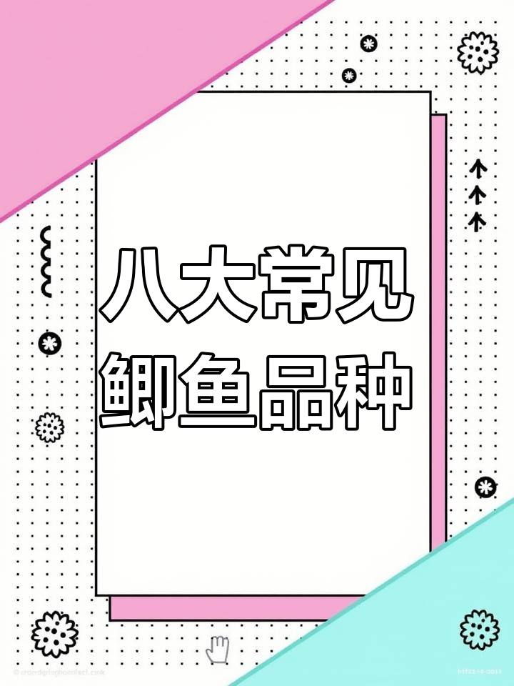 八种常见鲫鱼品种大揭秘,土鲫、鳍河鲫与工程级全解析