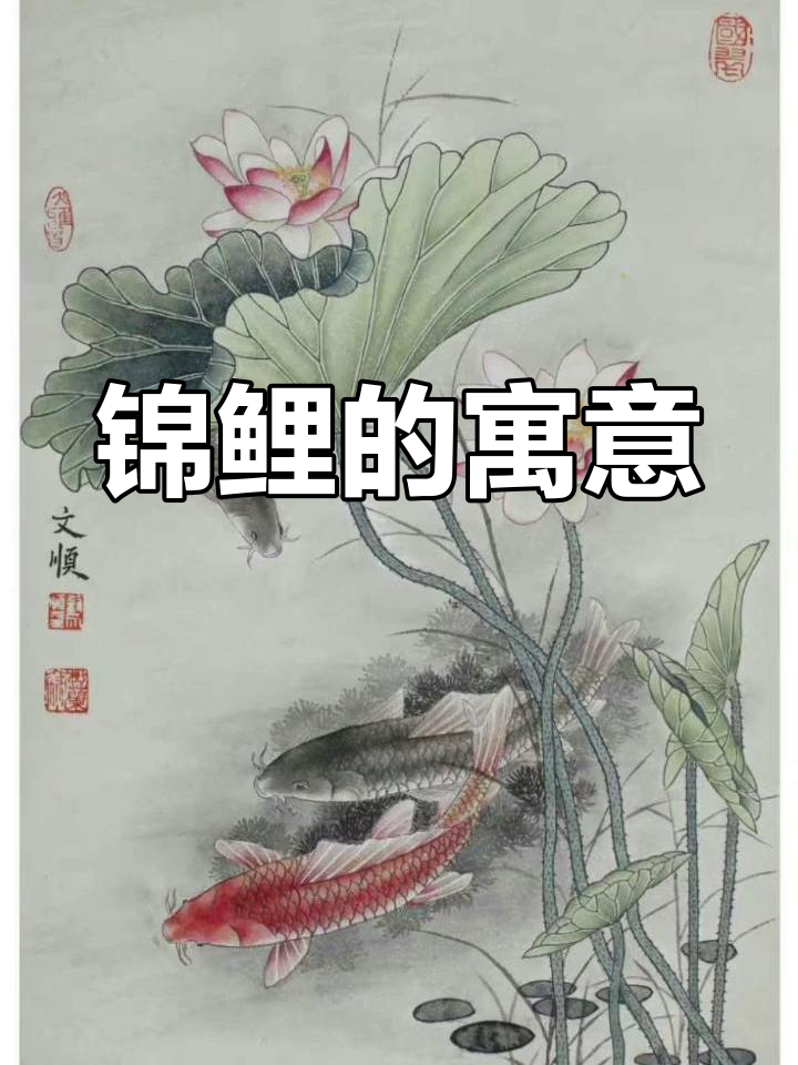 锦鲤象征财富与吉祥，活水养育，风水鱼中的珍品