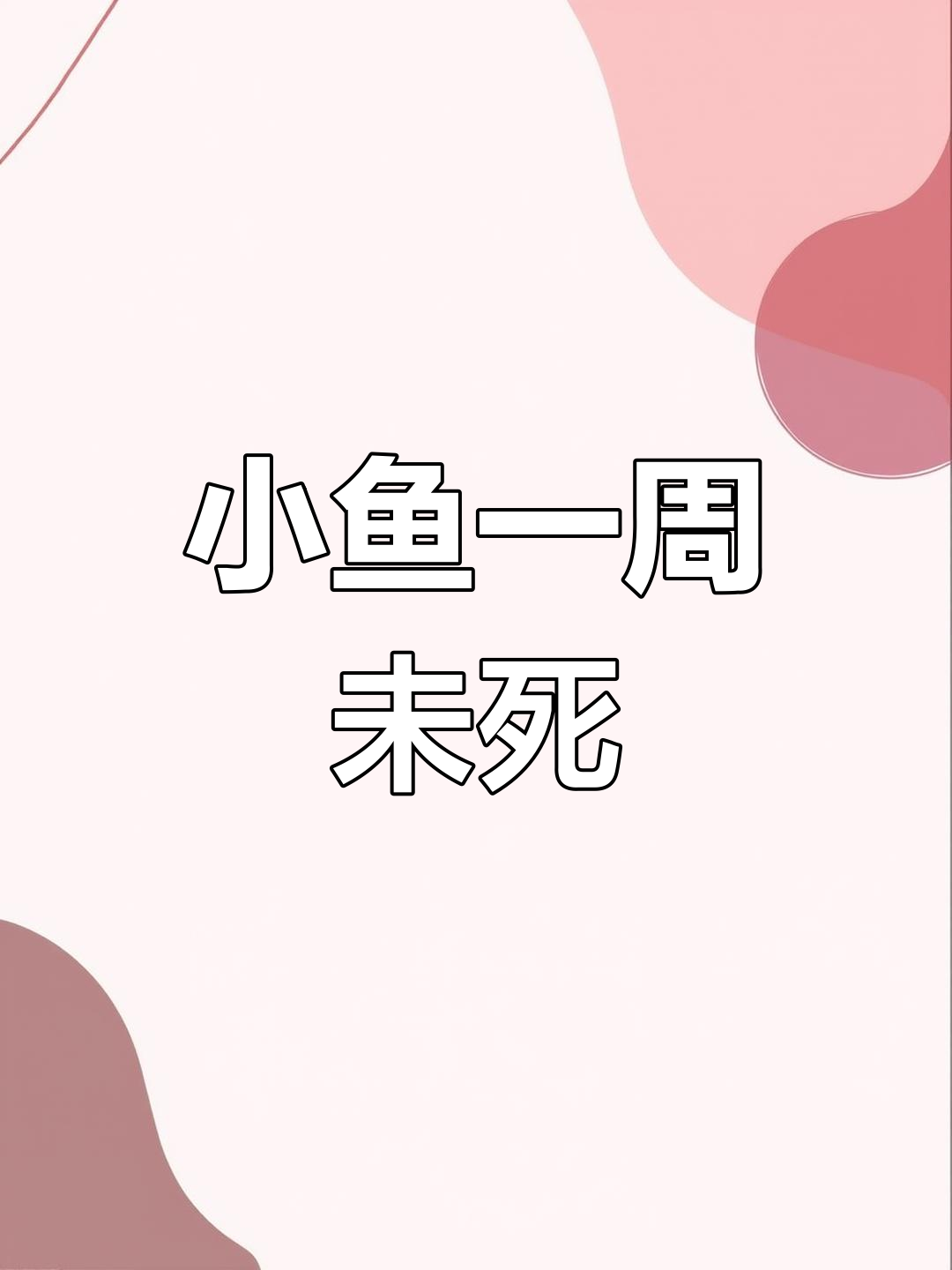 鱼缸里的小鱼竟然活了一周