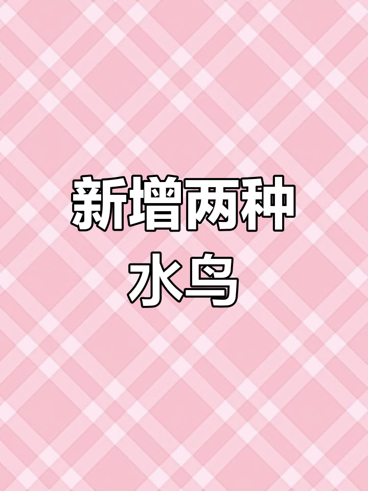 永安新发现红嘴巨鸥与黑尾鸥,水鸟家族再添新成员