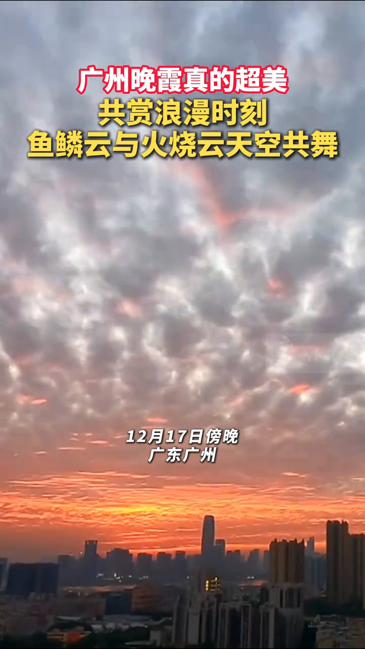 广州晚霞真的超美!共赏浪漫时刻 鱼鳞云与火烧云天空共舞