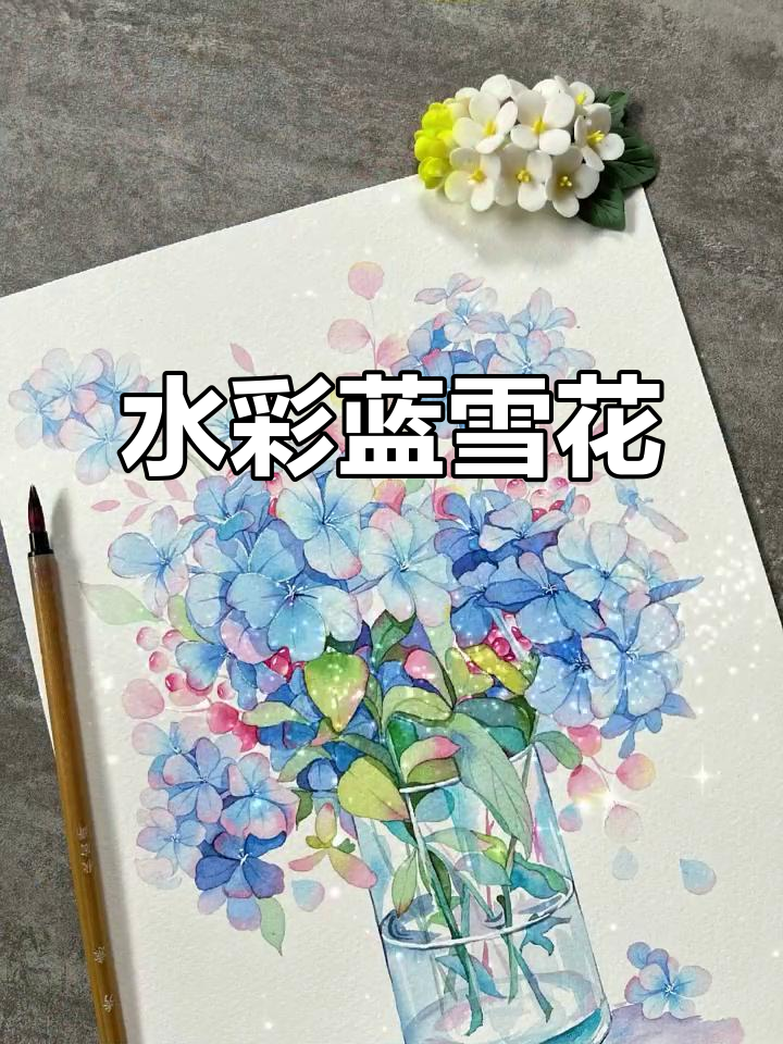 蓝雪花水彩画,清新美丽如初夏