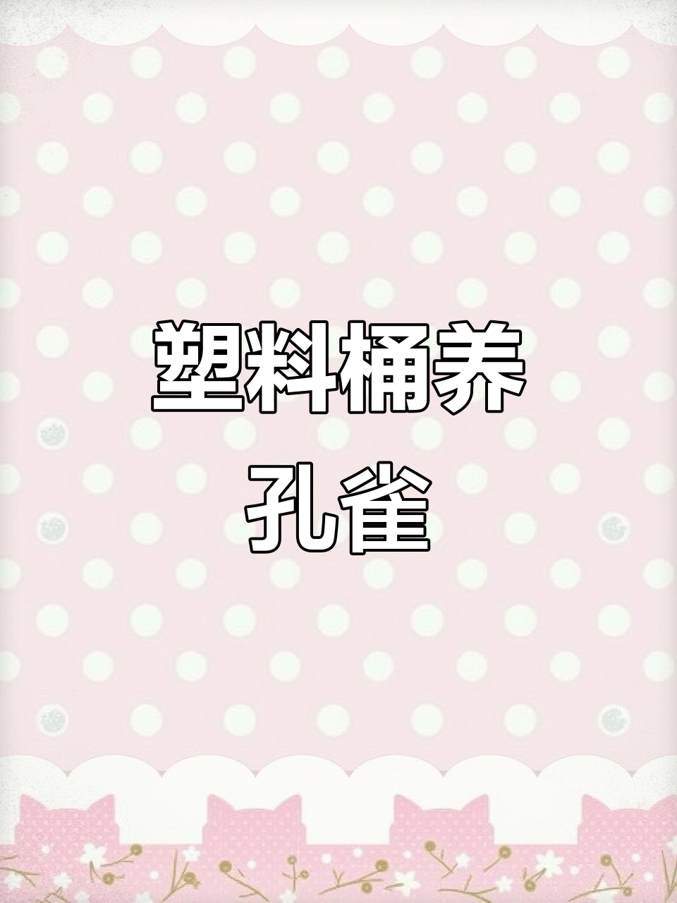 孔雀鱼塑料桶也能养,省钱又省心!