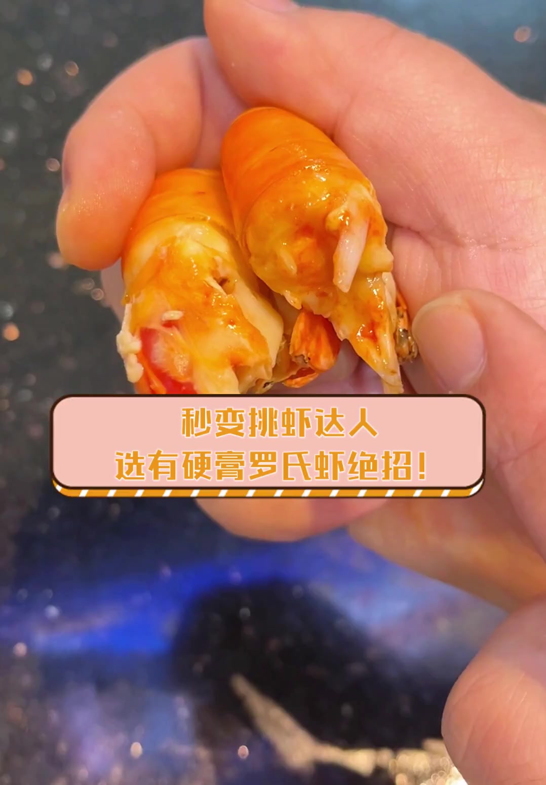 秒变挑虾达人,选有硬膏罗氏虾绝招!