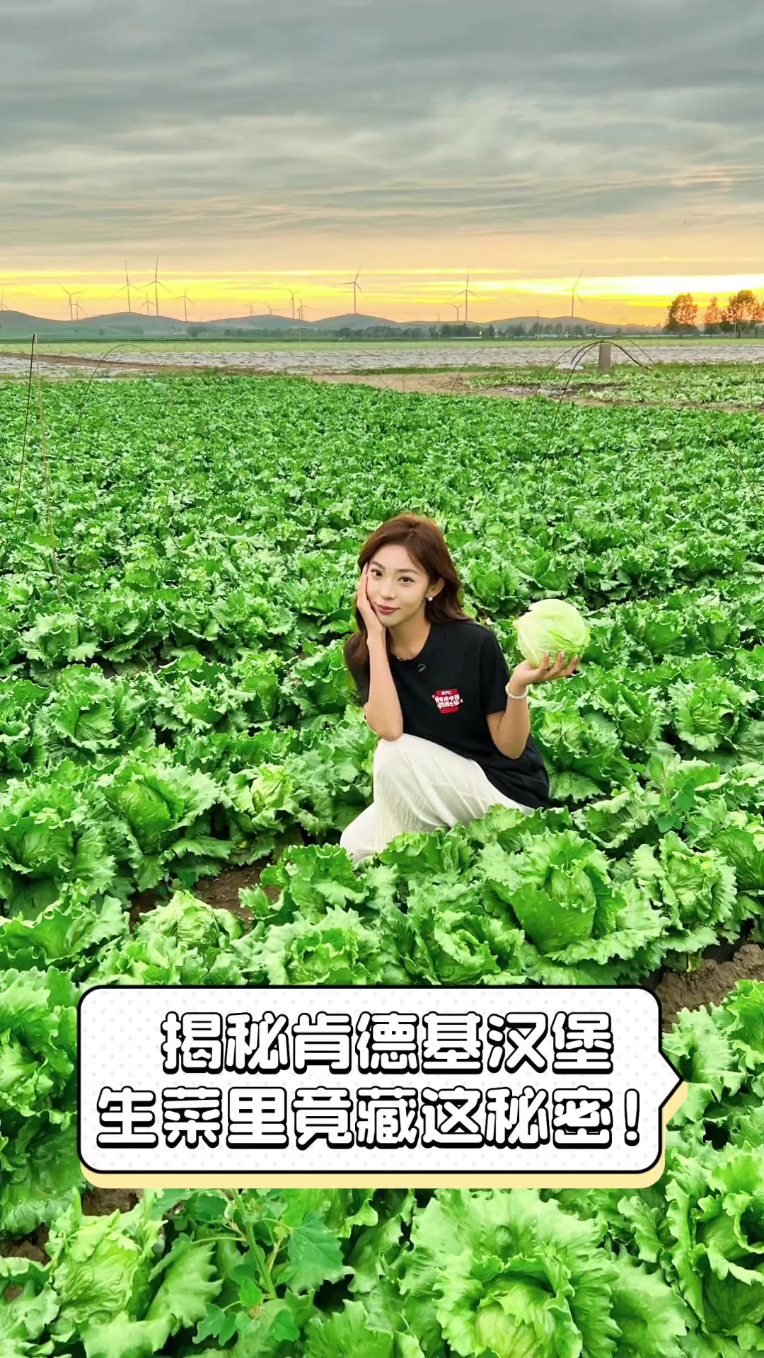 揭秘肯德基汉堡,生菜里竟藏这秘密!