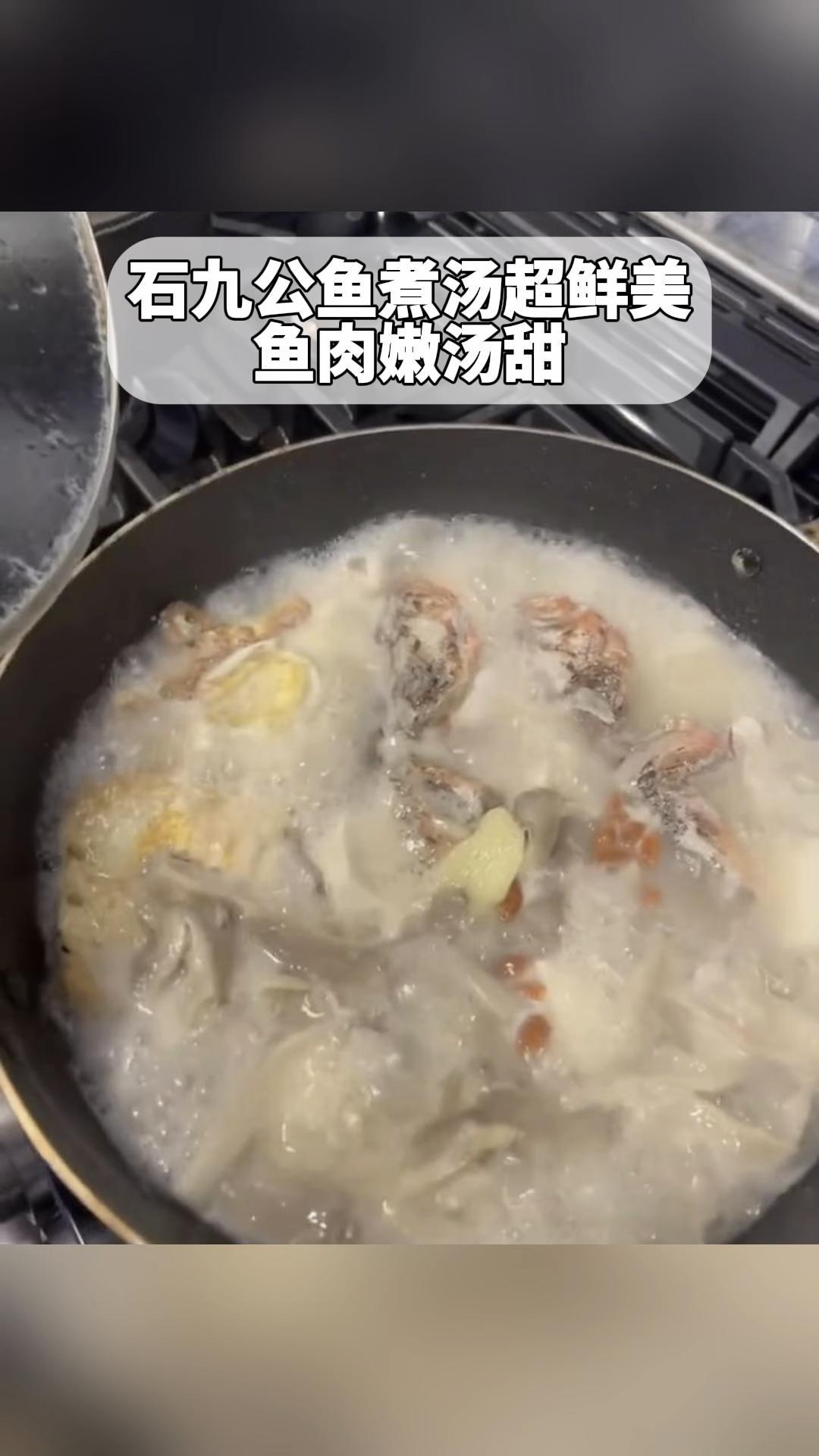 石九公鱼煮汤超鲜美,鱼肉嫩汤甜
