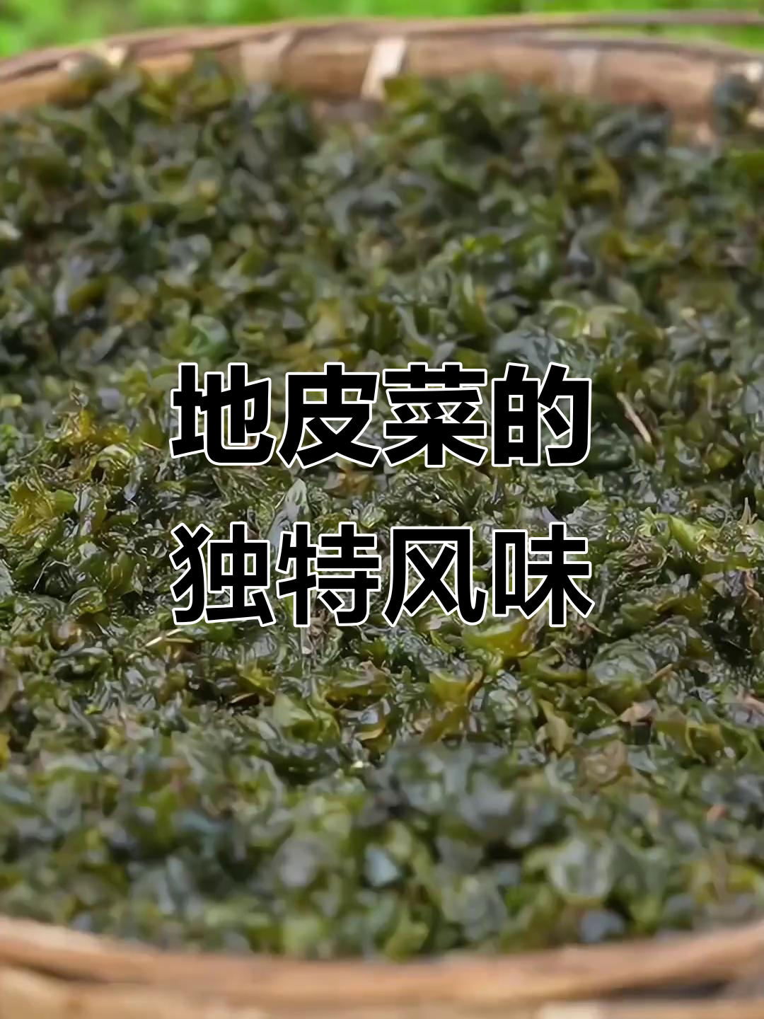 雨后野菜,地皮美味,包子菜肴皆宜!