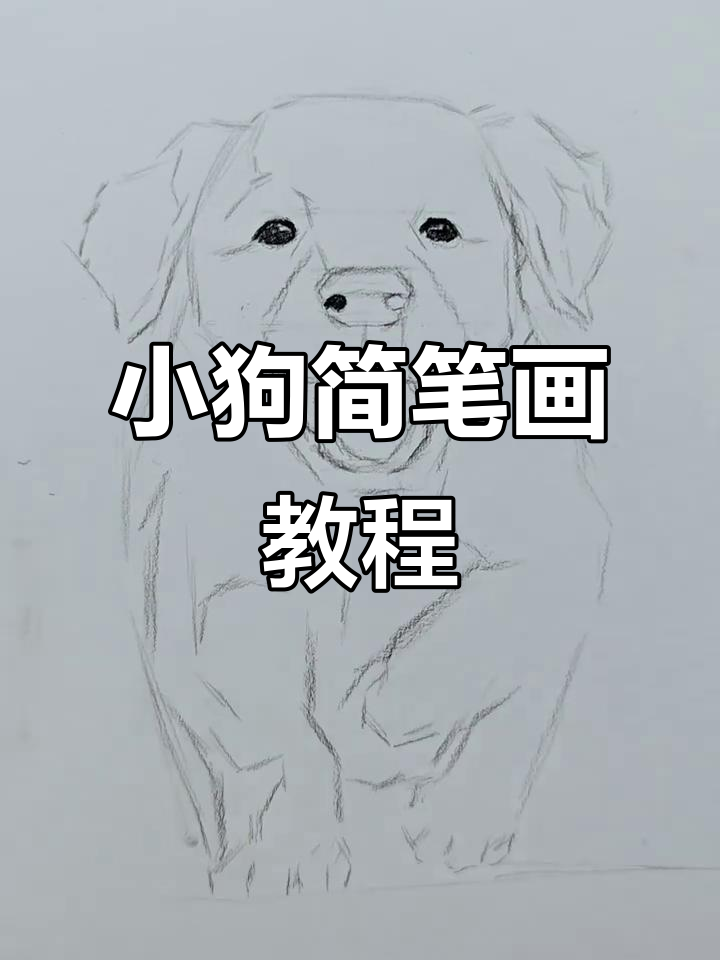 轻松学会画小狗，步骤简单又有趣