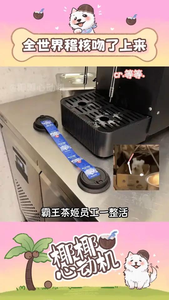 全世界稽核都吻了上来 霸王茶姬稽核奶茶店视频来源