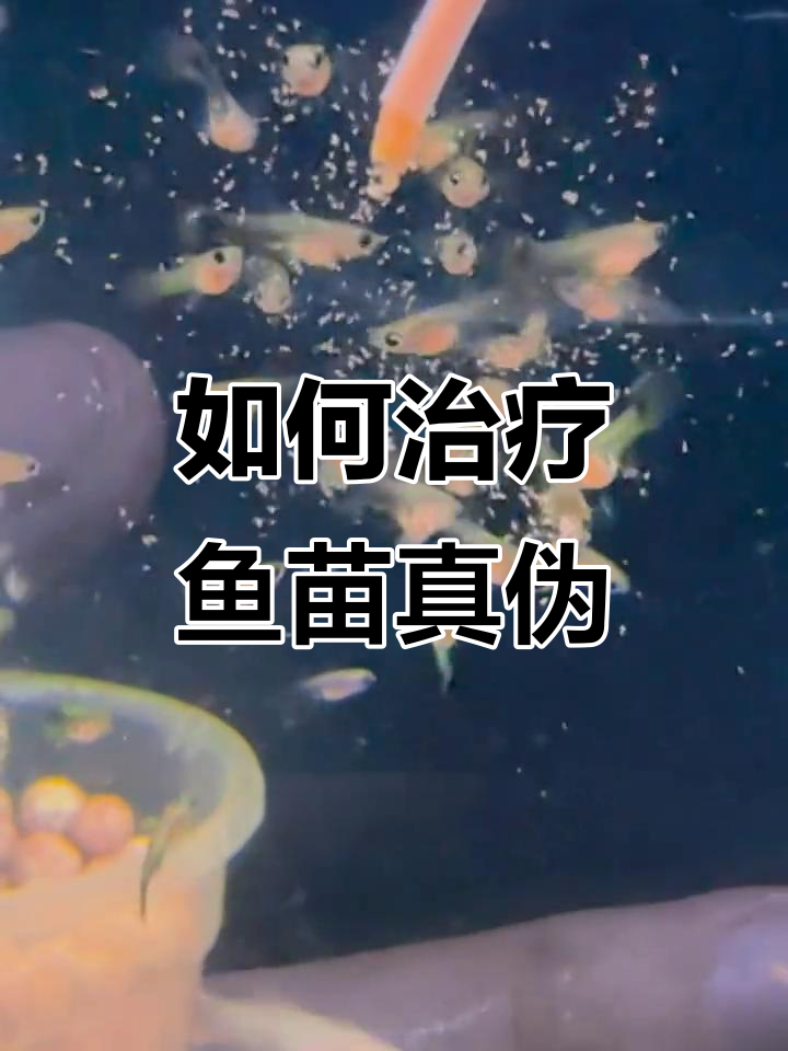 鱼苗针尾原因及治疗方法