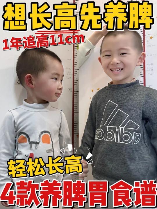 想长高先养脾4款养脾胃食谱轻松长高