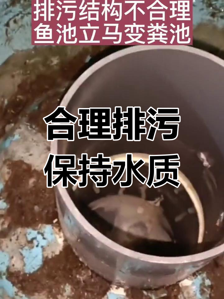 循环水排污设计,避免鱼池变粪池