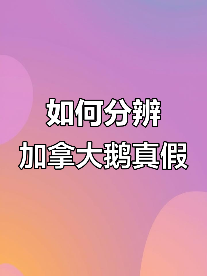 加拿大鹅羽绒服真假辨别:细节决定真伪