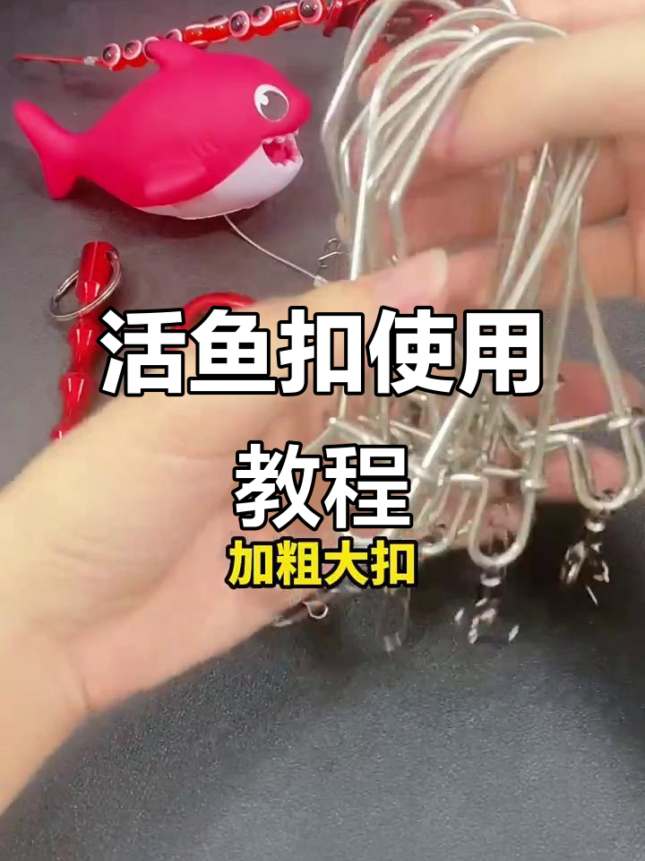 活鱼扣安装全攻略,轻松学会钓鱼技巧