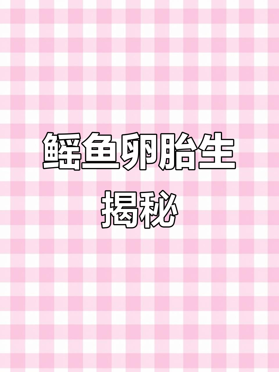 鳐鱼卵胎生揭秘,宝宝出生全过程大公开