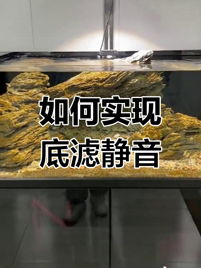 底滤鱼缸静音原理揭秘