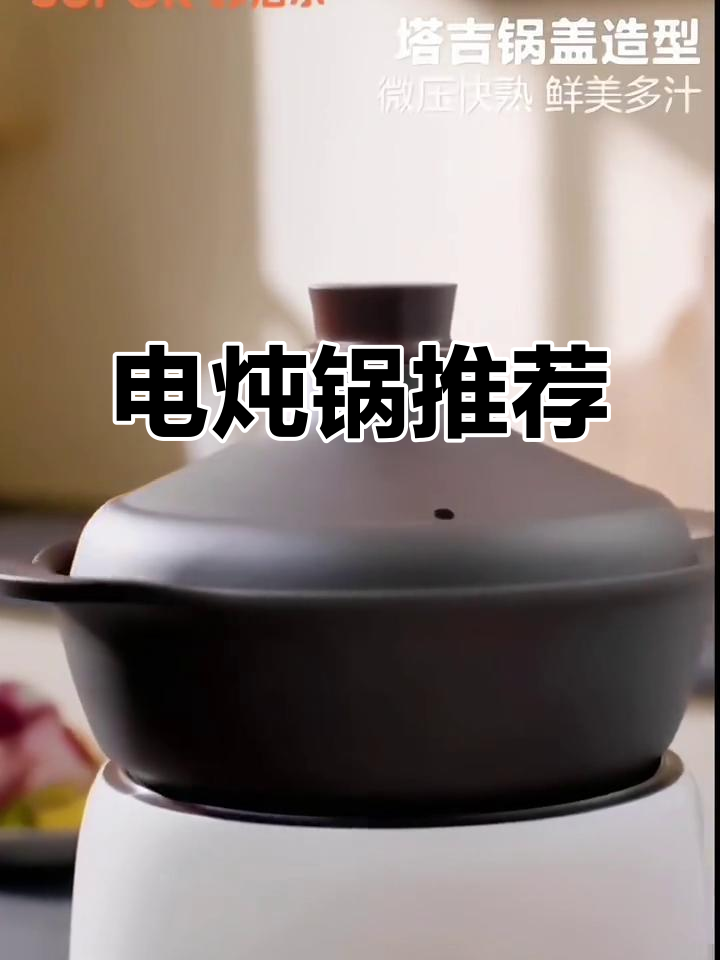 苏泊尔电炖锅,大容量煮粥煲汤,陶瓷内胆更健康