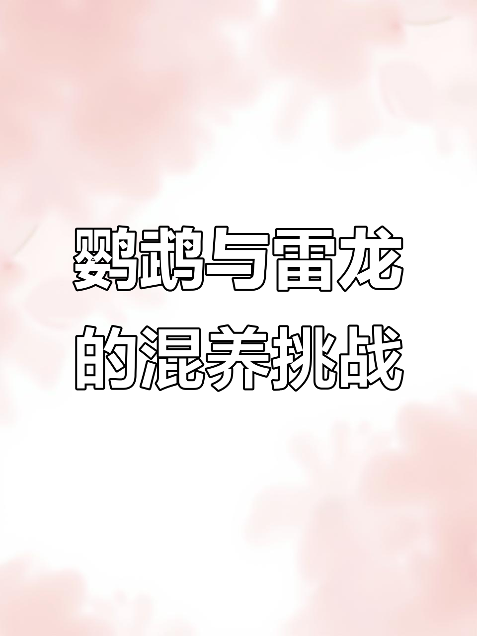 给黄鹦鹉鱼找新伴侣,雷龙能否共养?