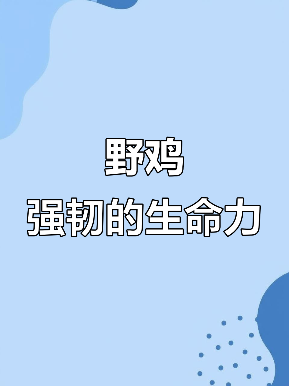野鸡的抗寒耐热能力,四季都能生存自如