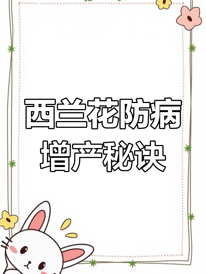 西兰花雨季常见病害,防治与高产种植技巧全解析