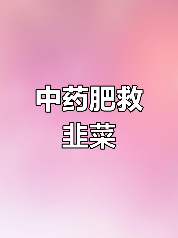 韭菜根腐病严重,中药肥助力恢复生长,效果待观察!