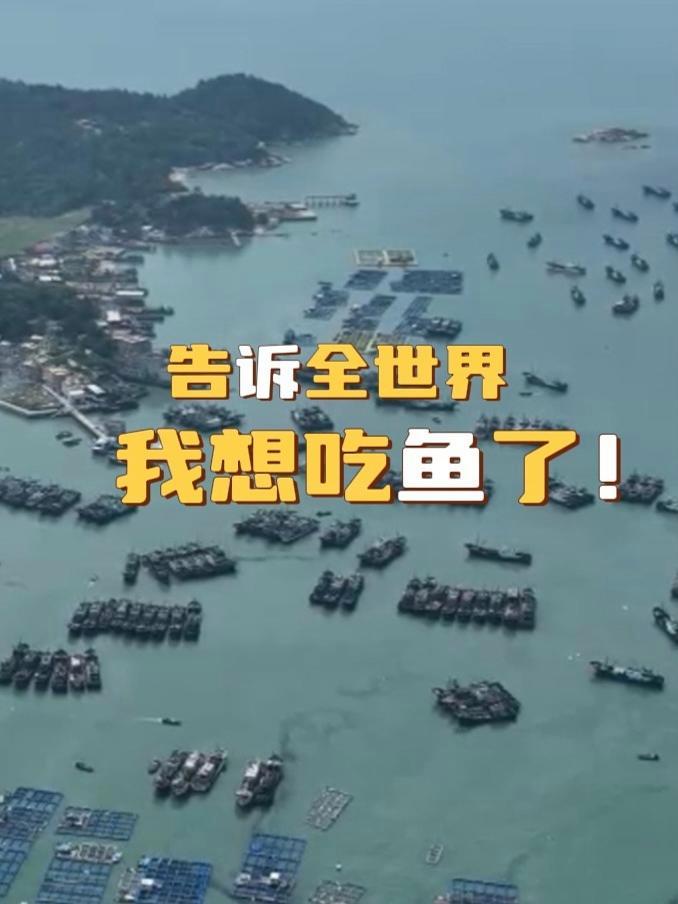 「浯屿岛vlog!告诉全世界,我想吃鱼了!」8月16日,福建海域正式开渔!开渔,对餐桌前的