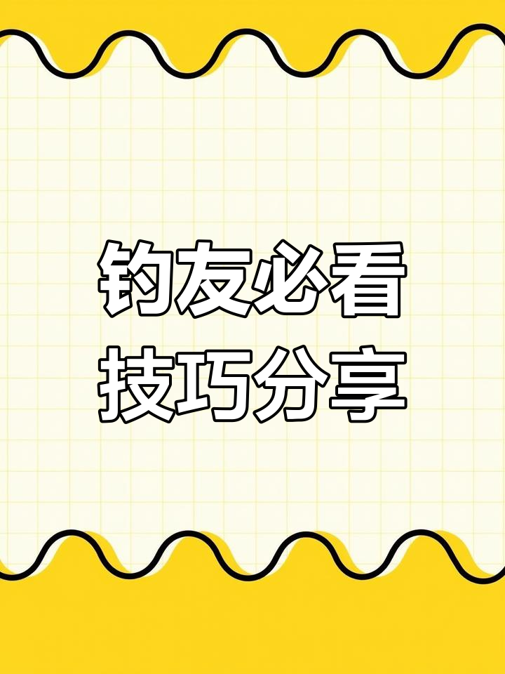 钓鱼技巧大公开,分享成功秘诀